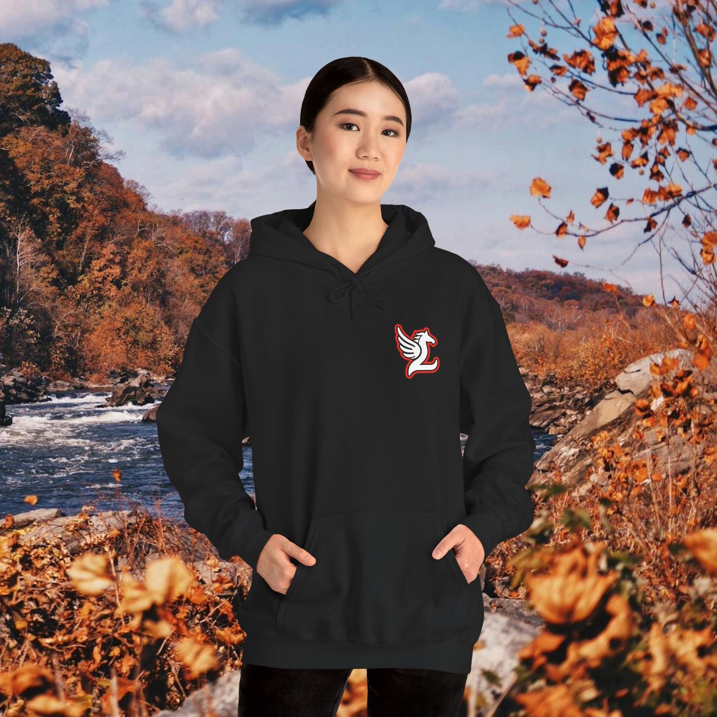 Loudoun Pegasus Hoodie