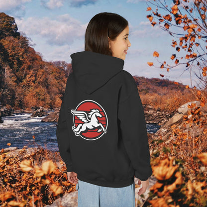 Loudoun Pegasus Youth Hoodie