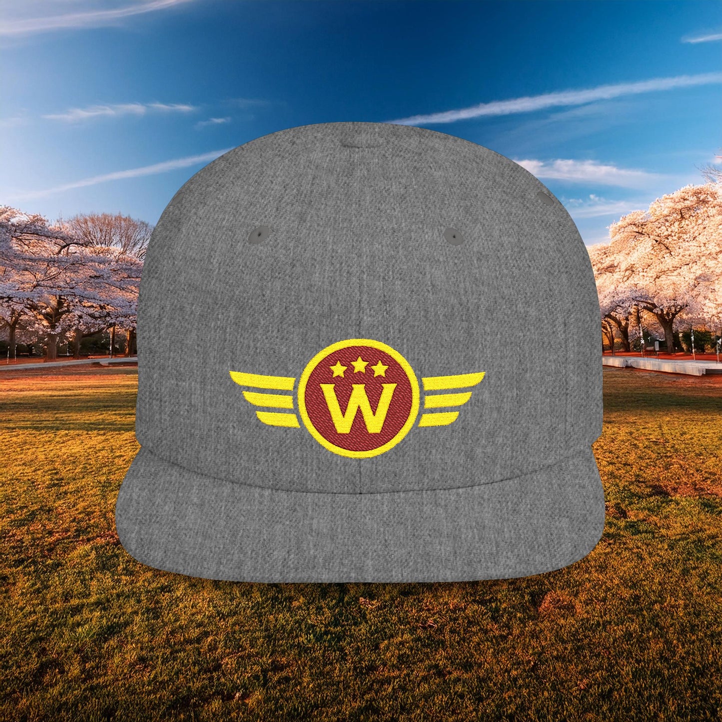 Washington DC Football Logo Flat Bill Snapback