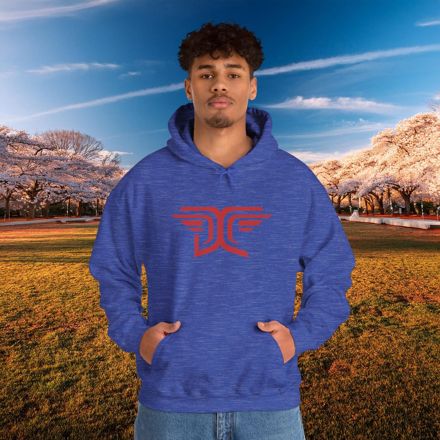Winged DC Hoodie