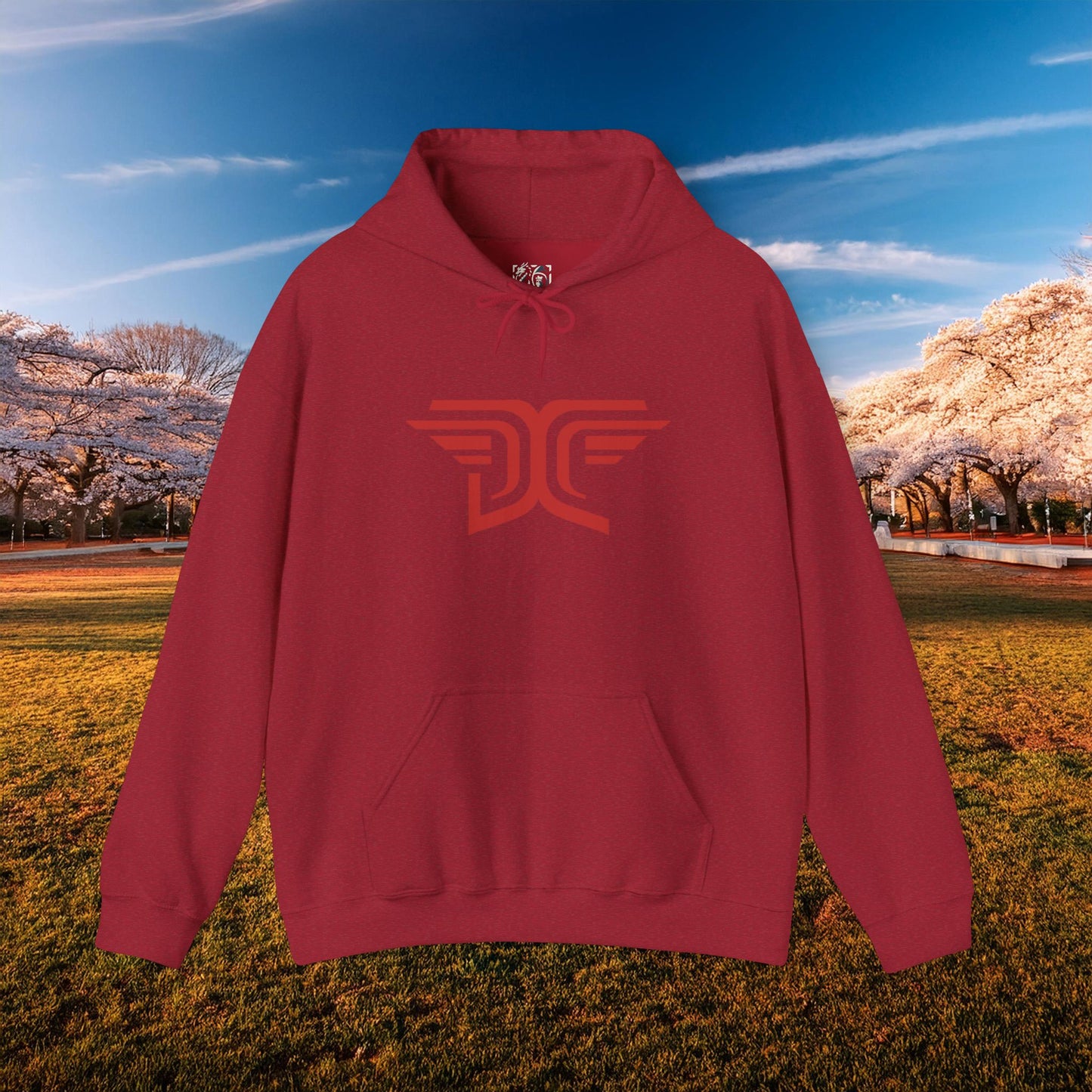 Winged DC Hoodie
