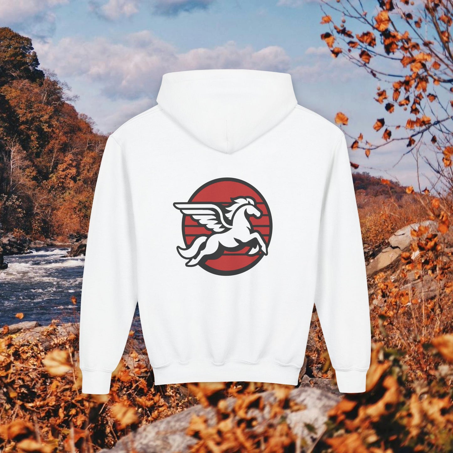 Loudoun Pegasus Youth Hoodie