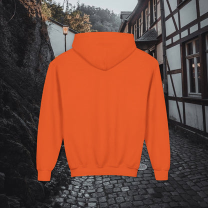 Support Local Street Cats Youth Hoodie