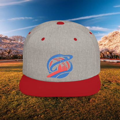 Abstract Washington Baseball Logo Flat Bill Snapback