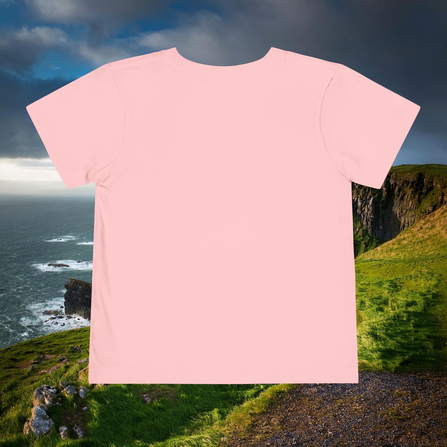 Leprechaun Toddler Tee