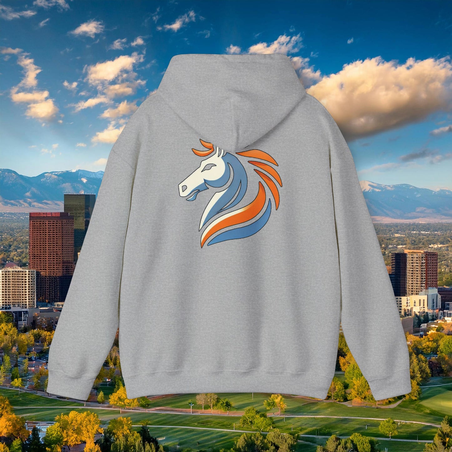 Bronco Hoodie