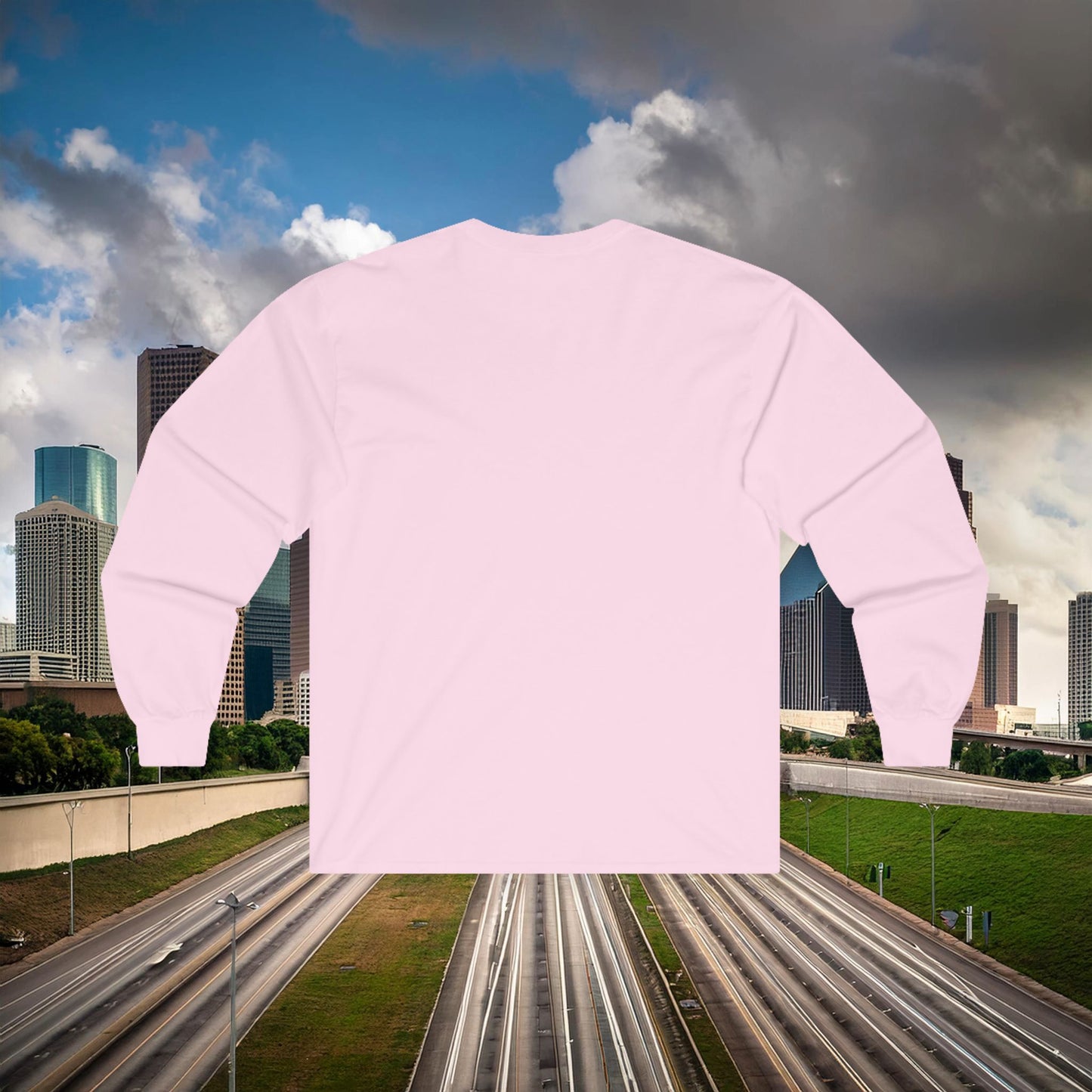 Houston Skull Long Sleeve Tee