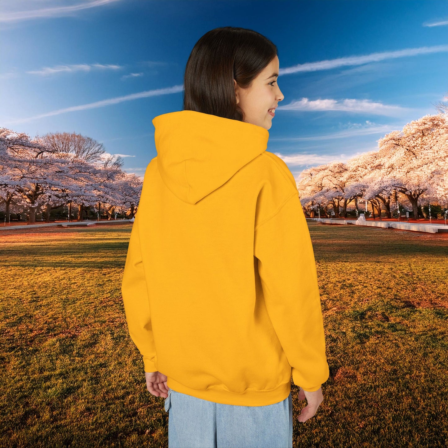 Winged DC Youth Hoodie