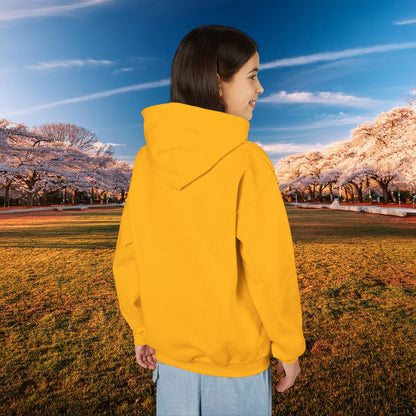 Winged DC Youth Hoodie