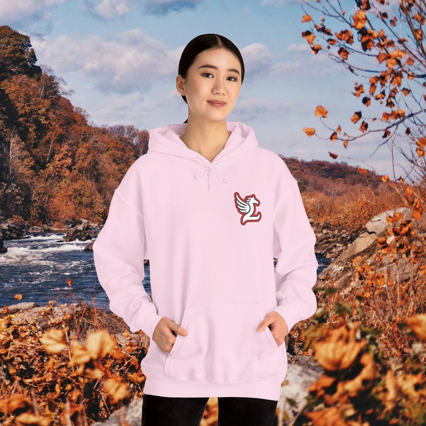 Loudoun Pegasus Hoodie