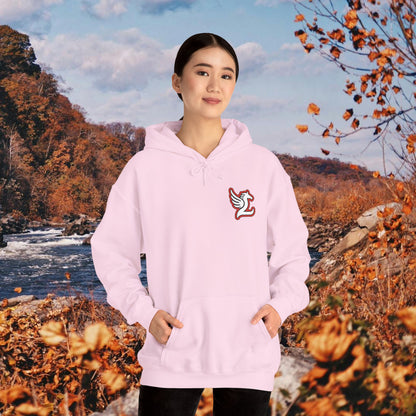 Loudoun Pegasus Hoodie