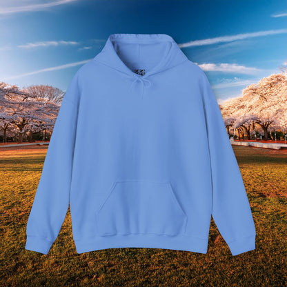 Washington Baseball At Bat Hoodie