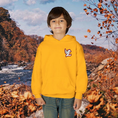 Loudoun Pegasus Youth Hoodie
