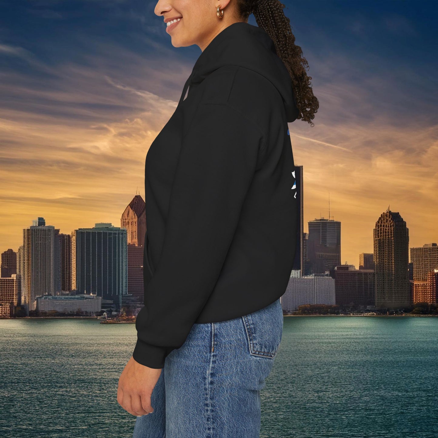 Detroit Football Crest Hoodie