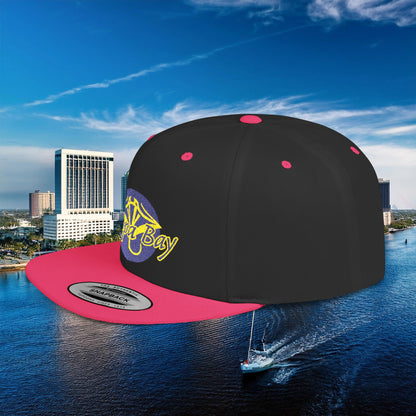 Tampa Bay Baseball Flat Bill Snapback