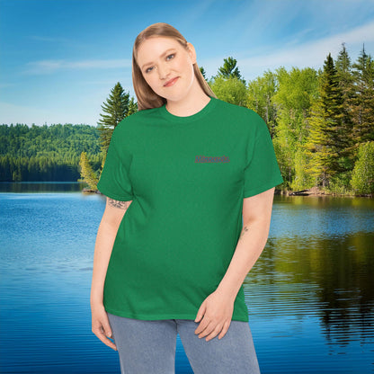 Minnesota Polar Lights Tee