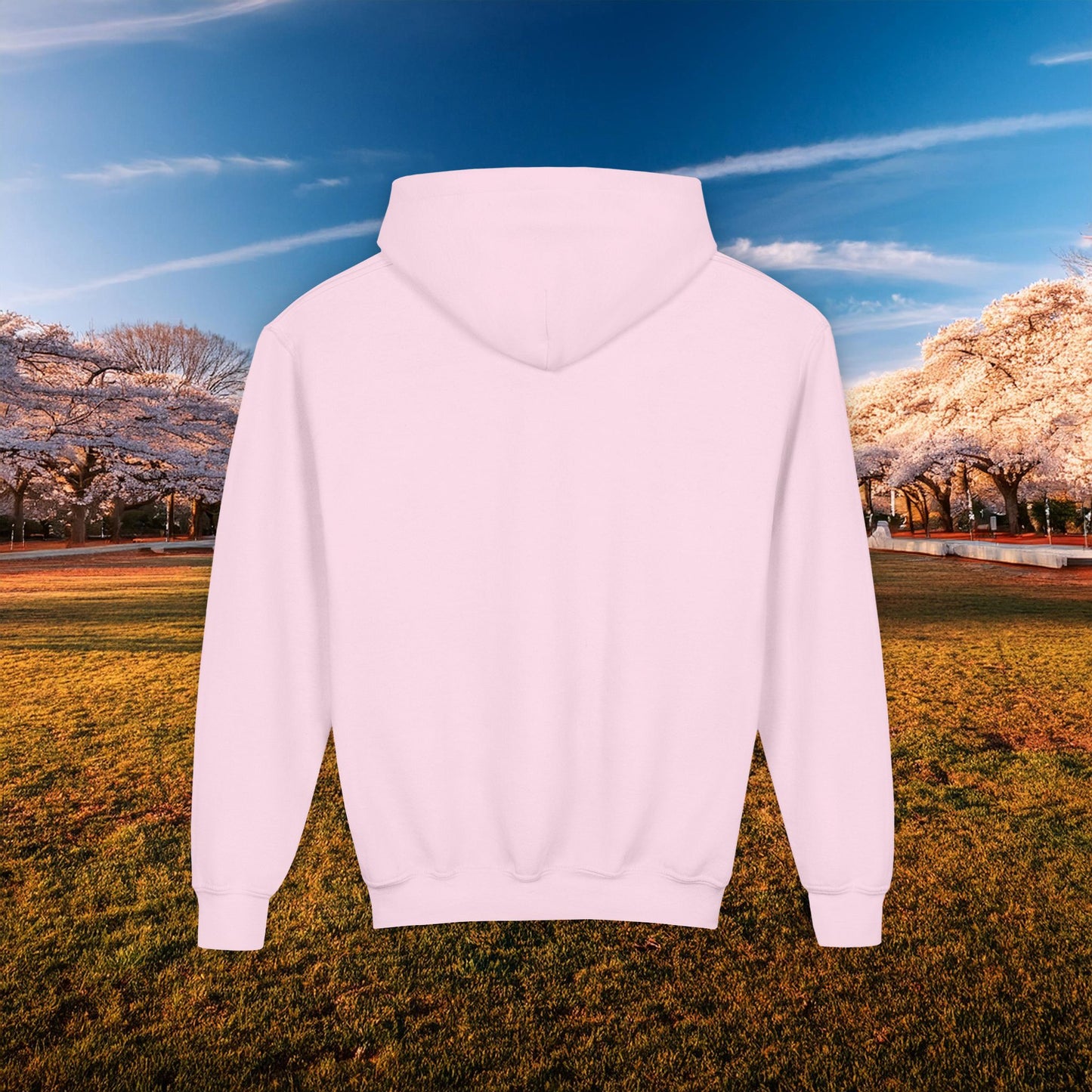 Washington DC Football Logo Youth Hoodie