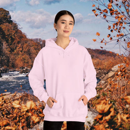 Raccoon Coffee Hoodie