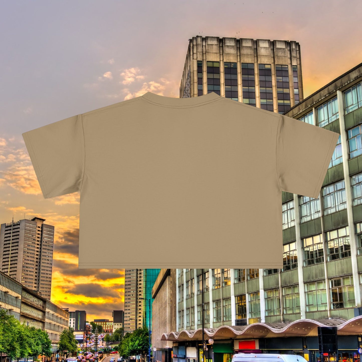 Villans Women's Crop Tee