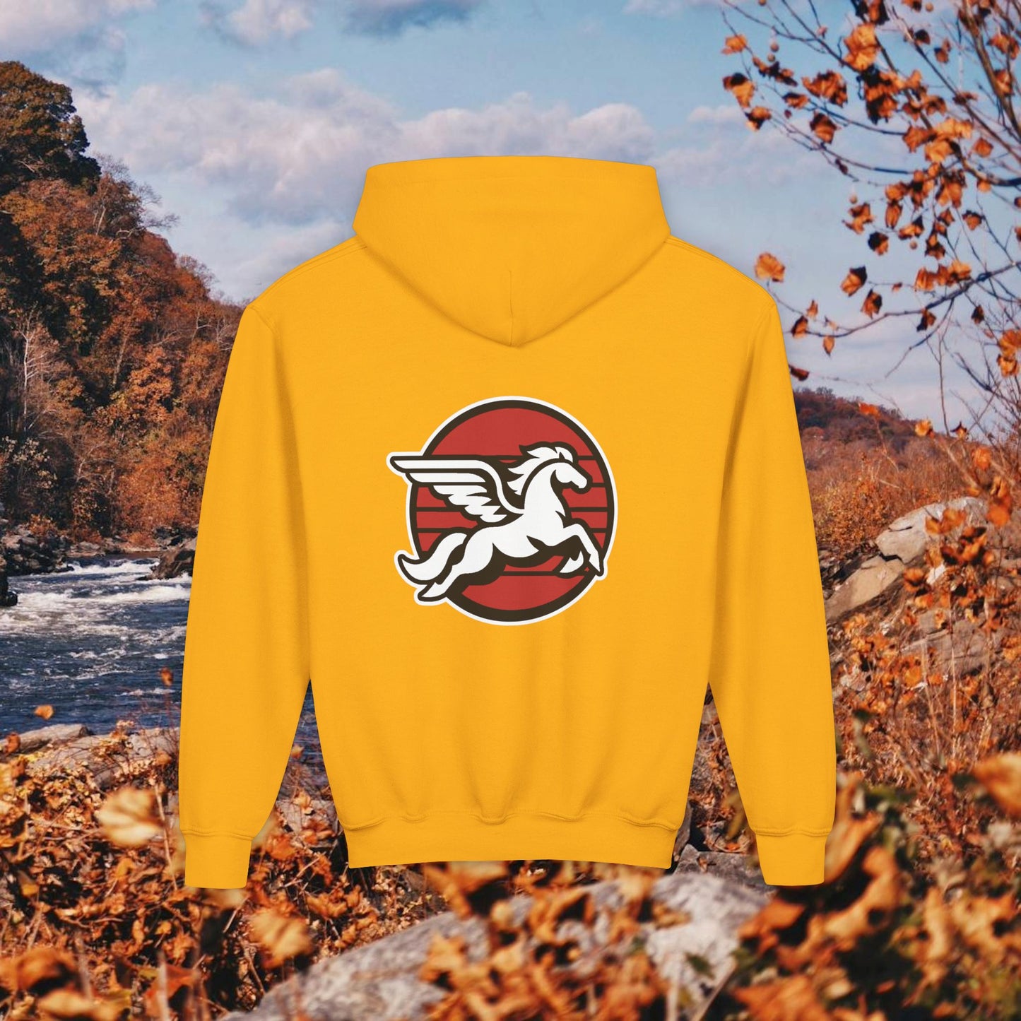 Loudoun Pegasus Youth Hoodie