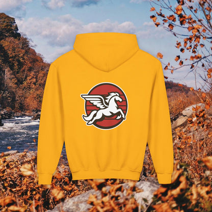 Loudoun Pegasus Youth Hoodie