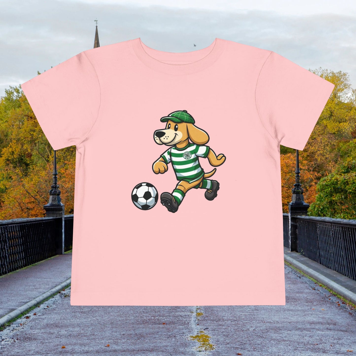 Hoopy Toddler Tee