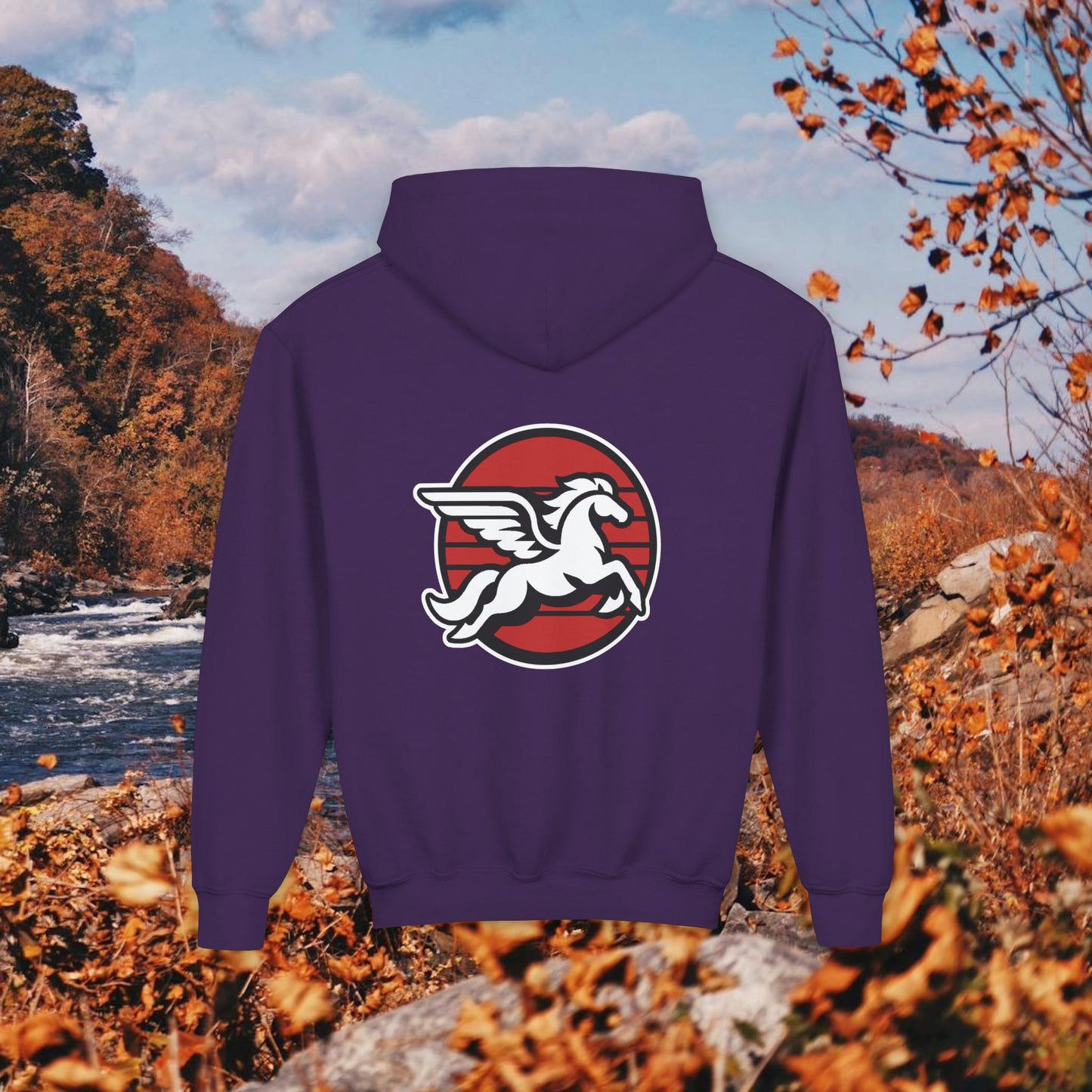 Loudoun Pegasus Youth Hoodie