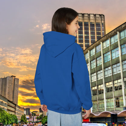 Villans Youth Hoodie