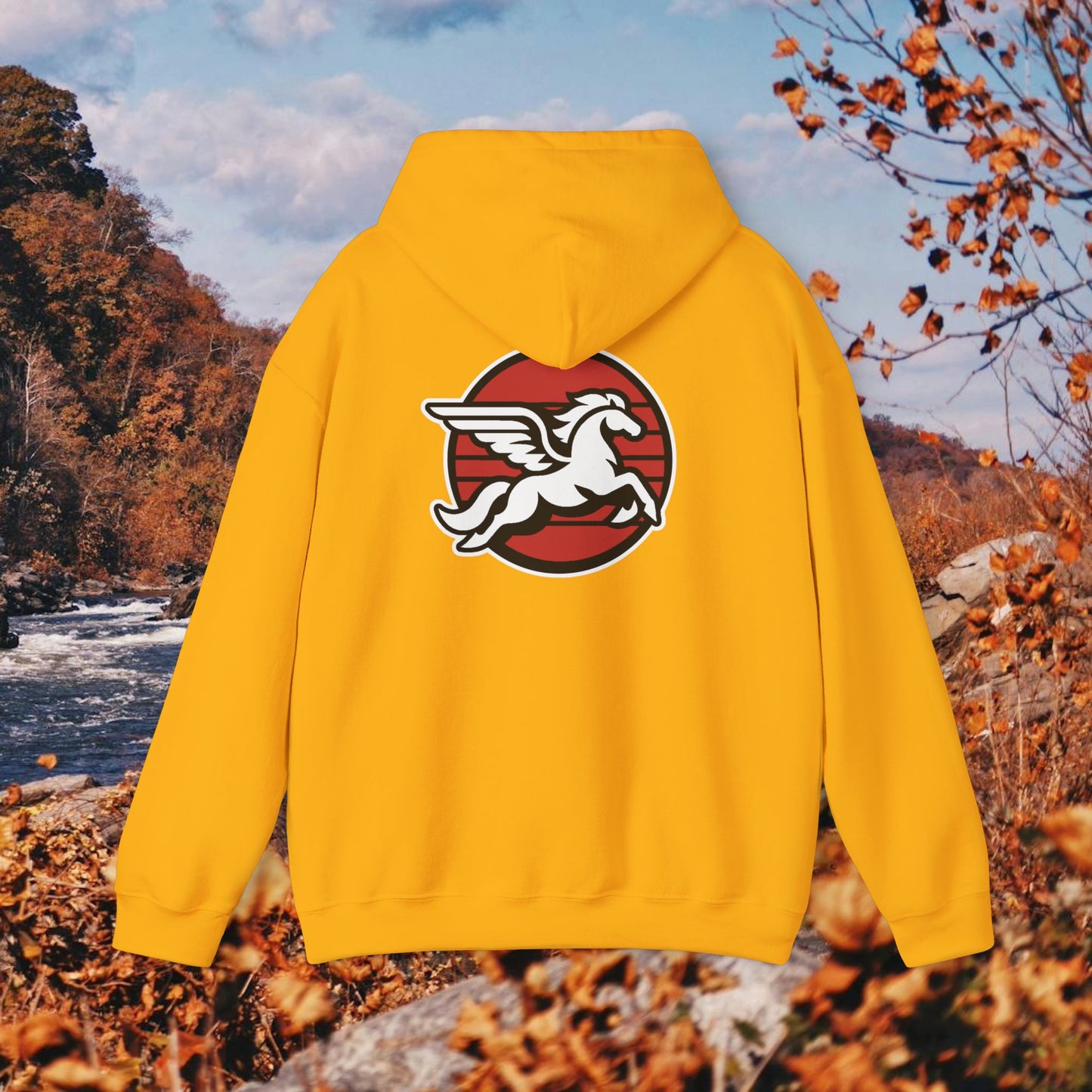 Loudoun Pegasus Hoodie