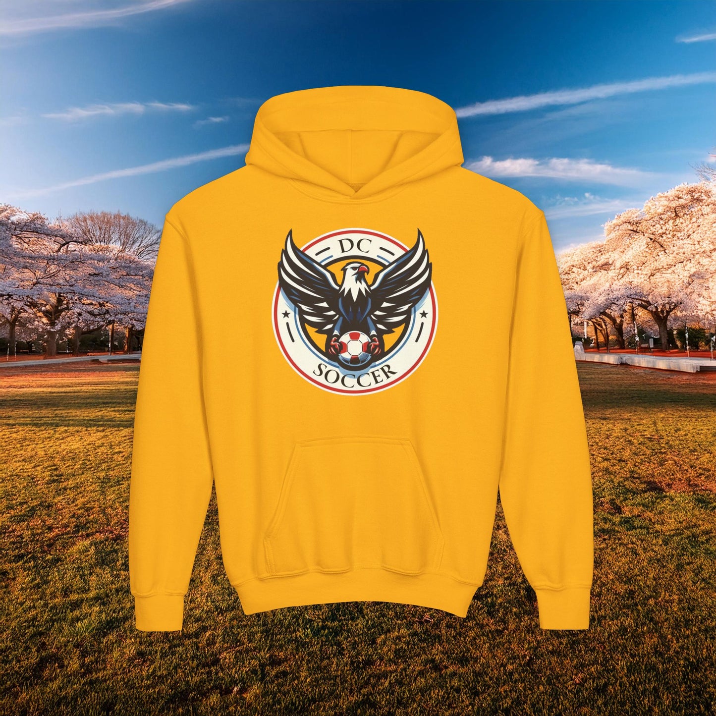 DC United Logo Youth Hoodie