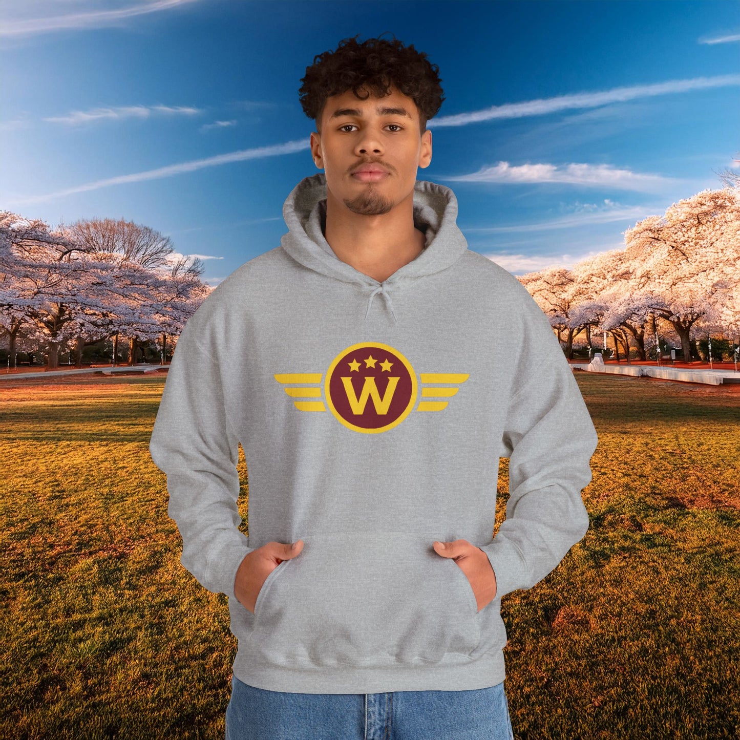 Washington DC Football Logo Hoodie