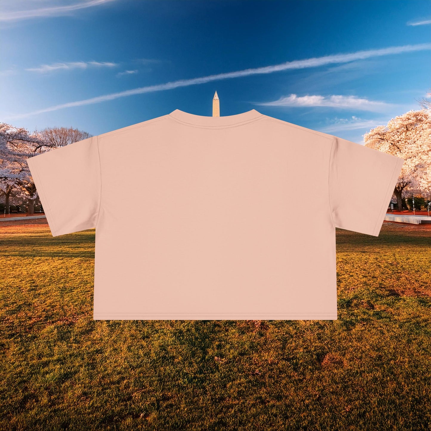 Psychedelic Wizard's Player Women's Crop Tee