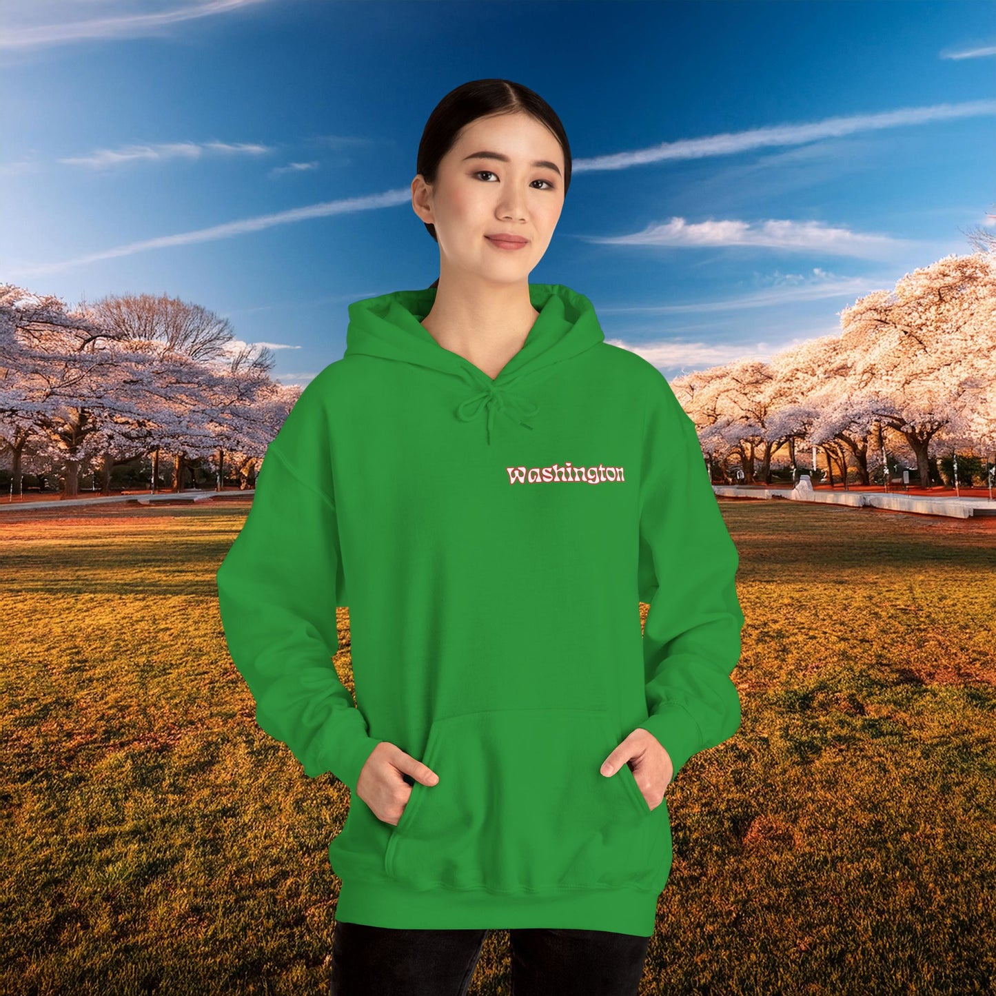 Magical Mystery Nats Hoodie