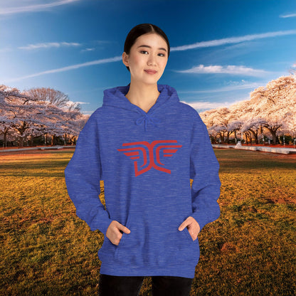 Winged DC Hoodie