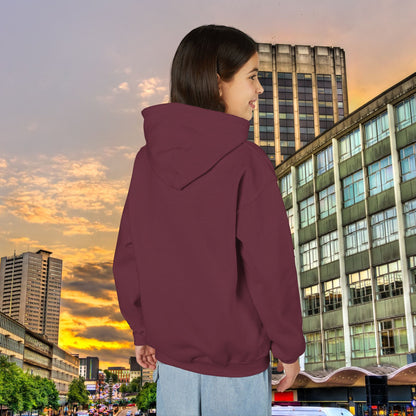 Villans Youth Hoodie