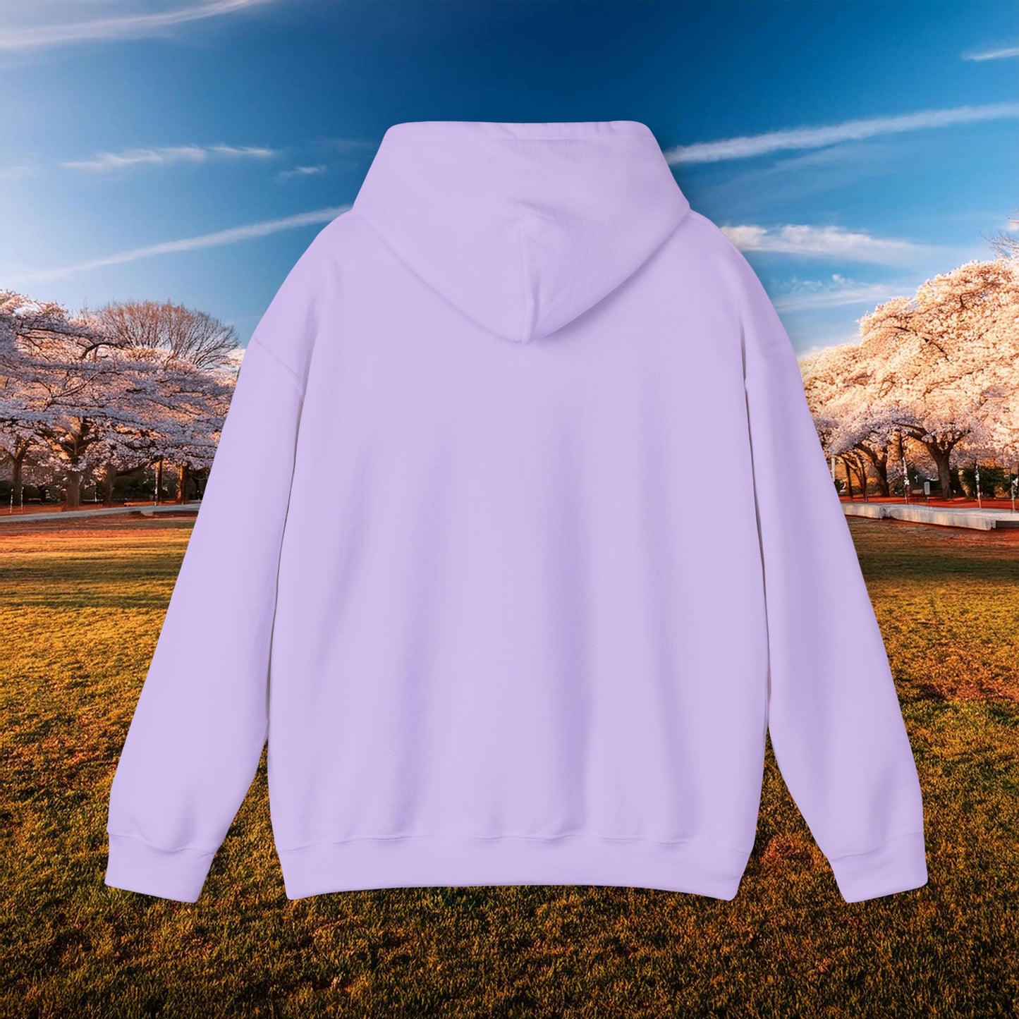 Washington DC Football Logo Hoodie