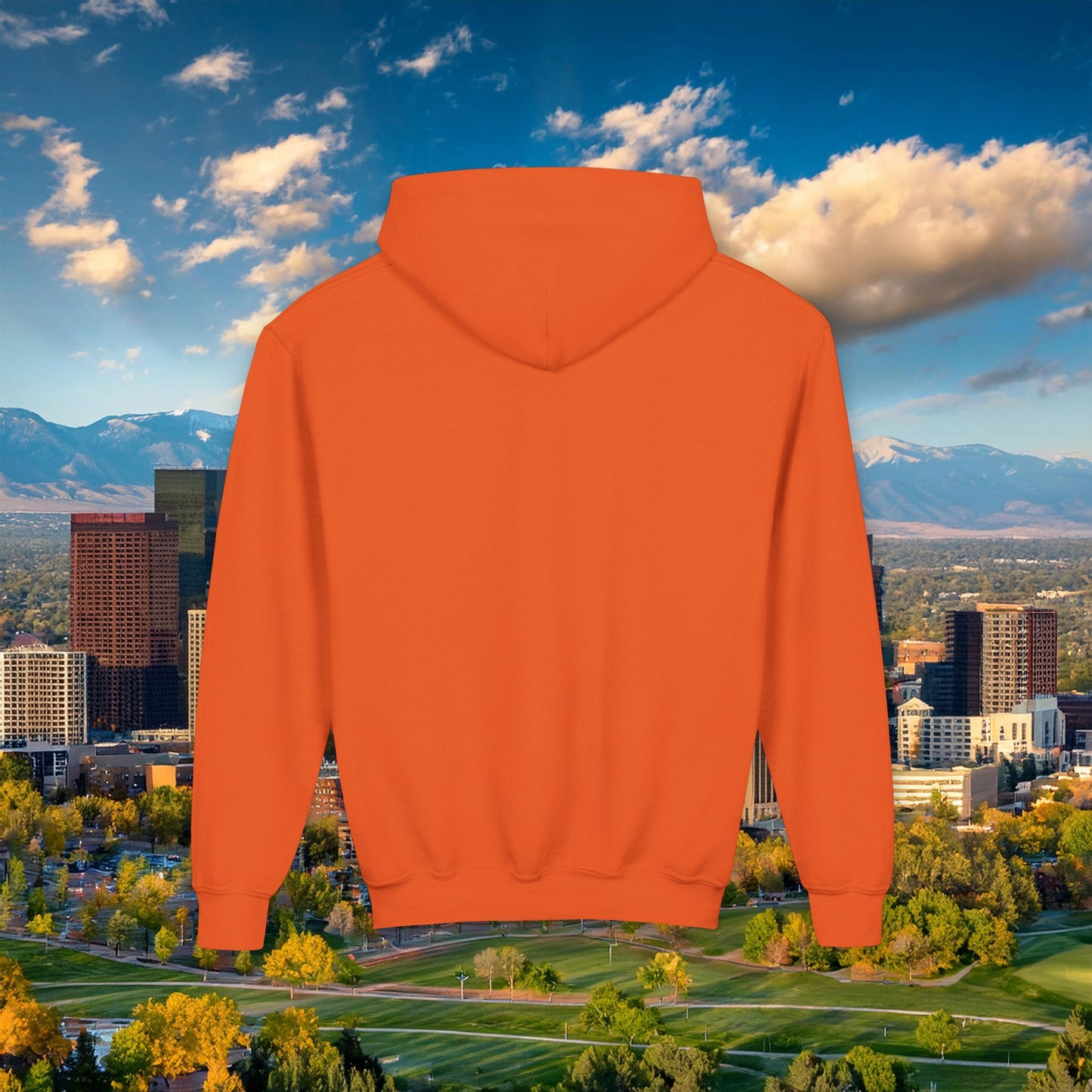 Bronco Youth Hoodie