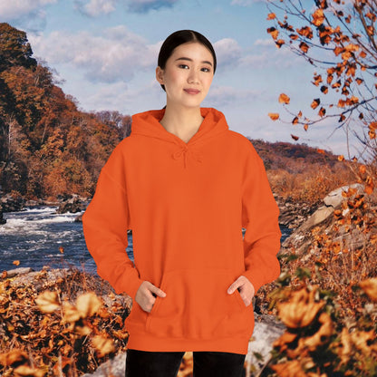 Raccoon Coffee Hoodie