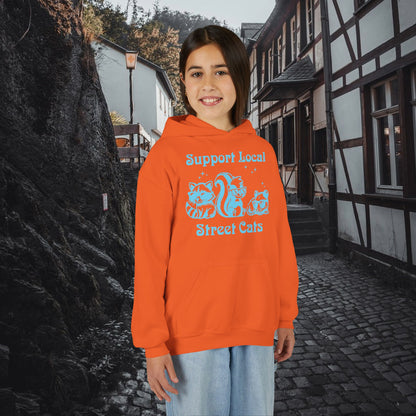 Support Local Street Cats Youth Hoodie