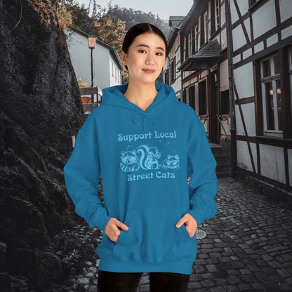 Support Local Street Cats Hoodie