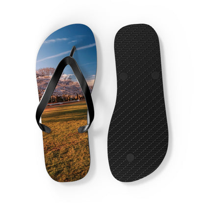 DC Cherry Blossom Flip Flops