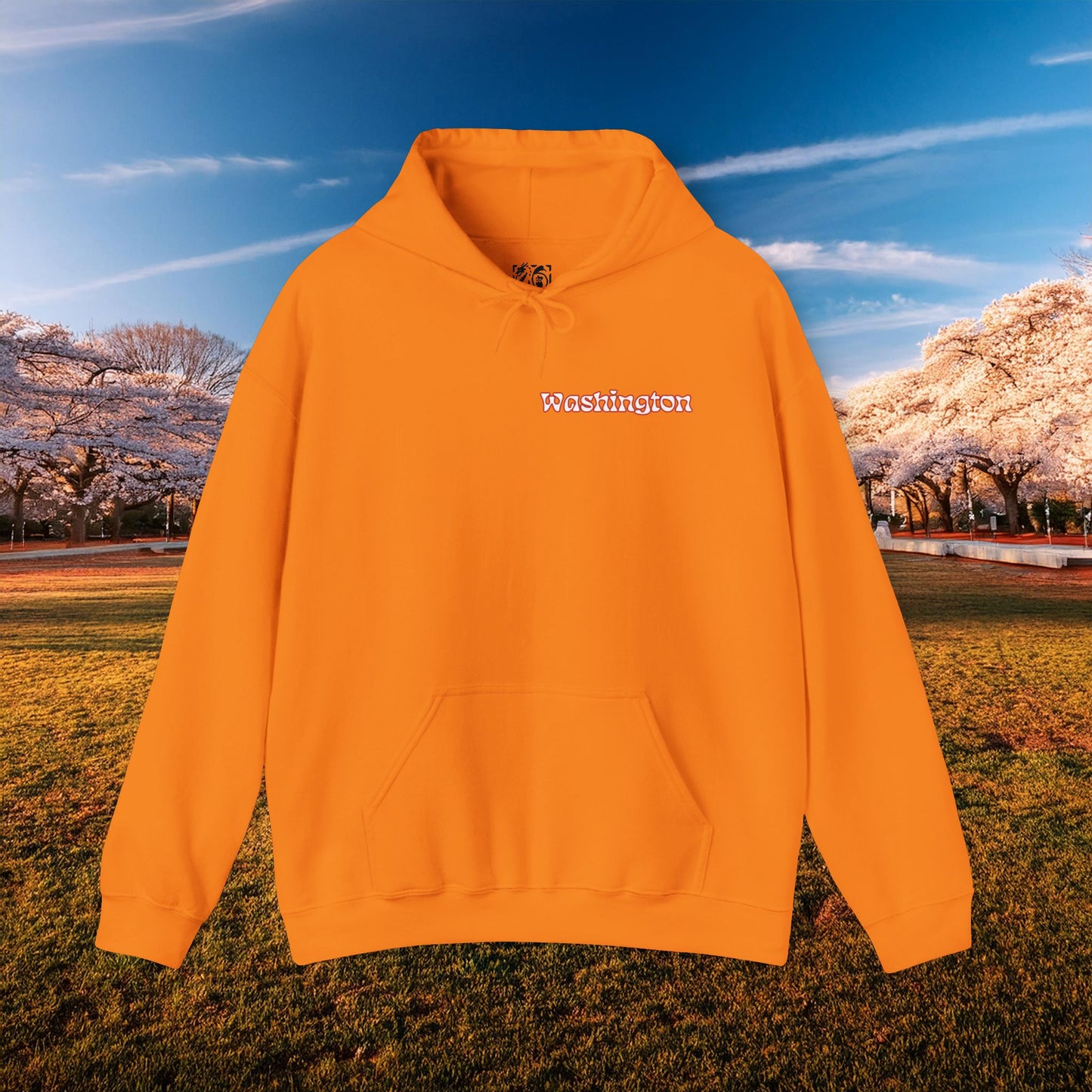 Magical Mystery Nats Hoodie