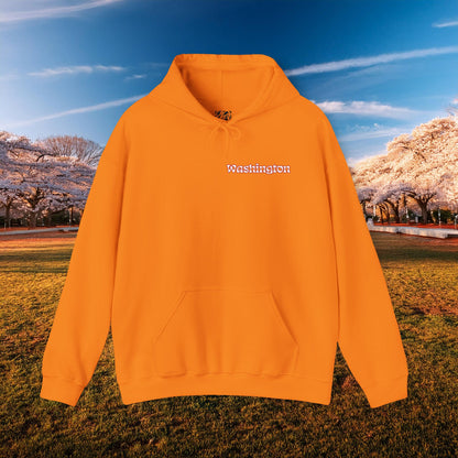 Magical Mystery Nats Hoodie