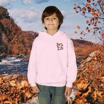 Loudoun Pegasus Youth Hoodie