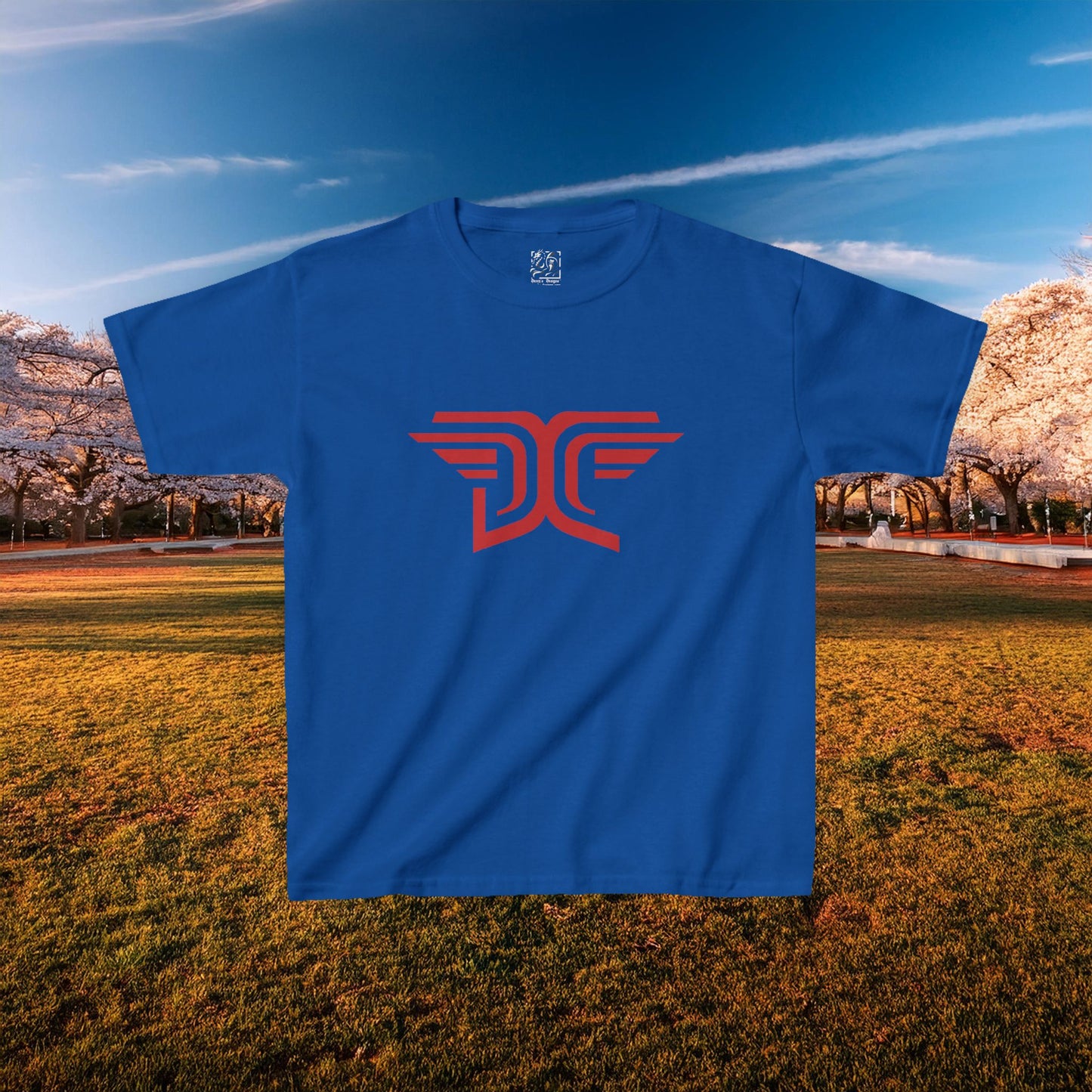 Winged DC Kids Tee