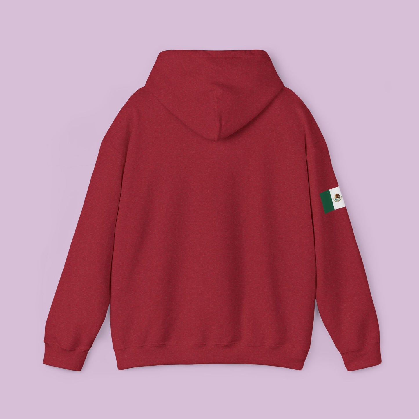 Powered By Immigrants Hoodie