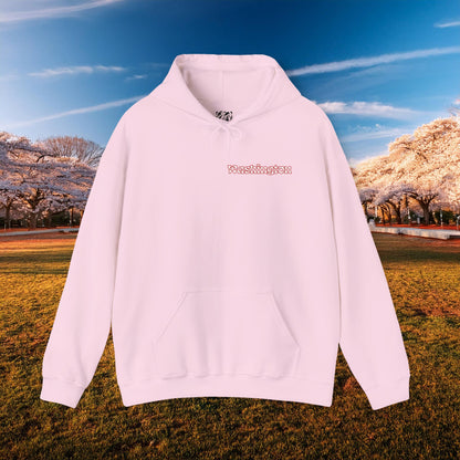 Magical Mystery Nats Hoodie