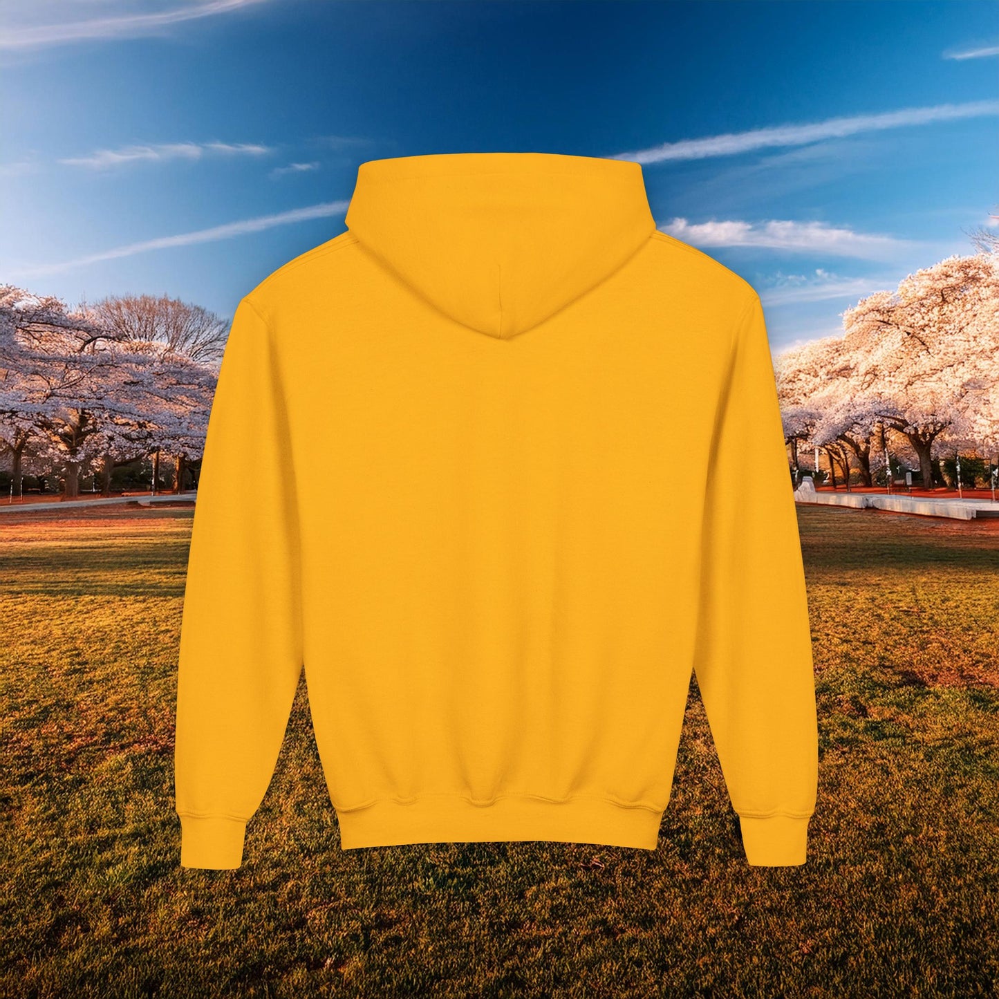 DC United Logo Youth Hoodie