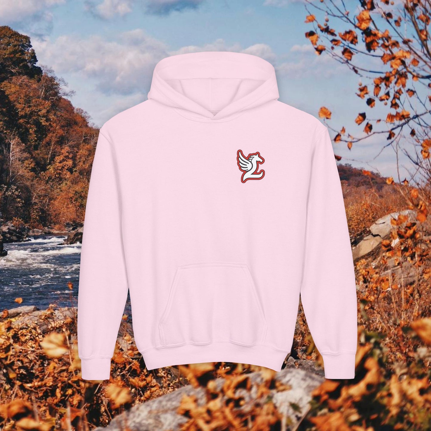 Loudoun Pegasus Youth Hoodie