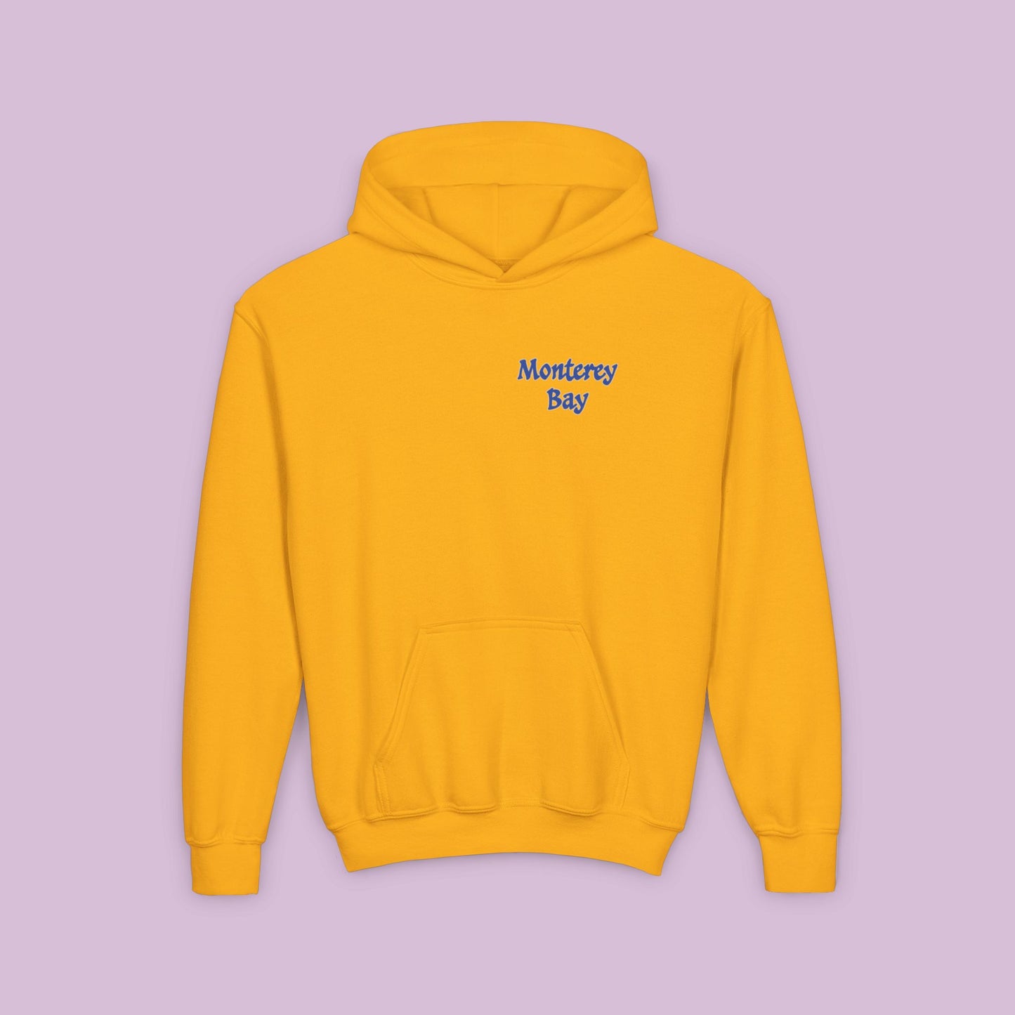 Sea Otter Soccer Logo Youth Hoodie